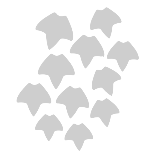 T_VineLeaf.png
