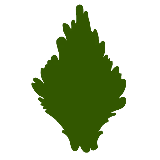 Leaf_Pine_C.png