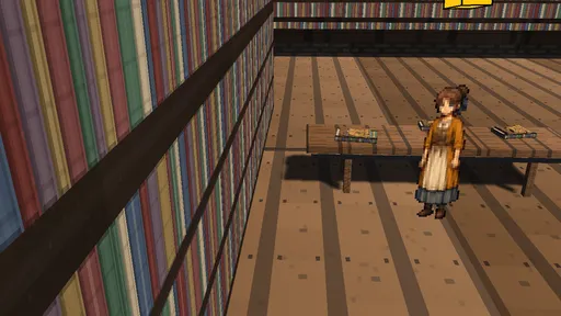 05_past_library_shelf_ledger_west.png