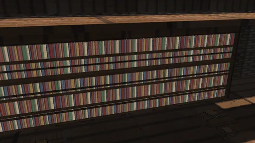 02_past_library_side_bookshelf_readability.png